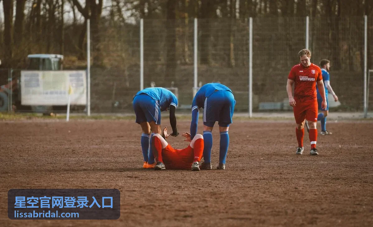 星空官网登录入口移动端切换配图