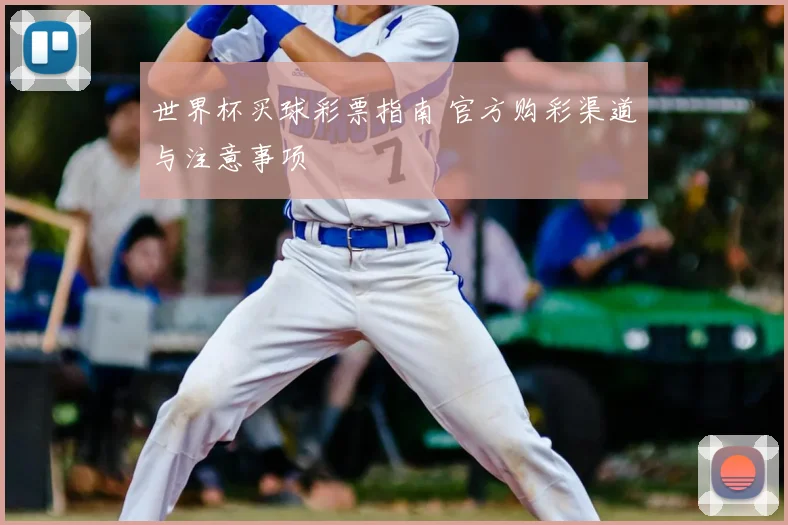 世界杯买球彩票指南 官方购彩渠道与注意事项