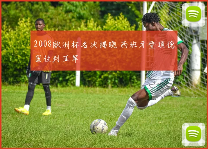 2008欧洲杯名次揭晓 西班牙登顶德国位列亚军