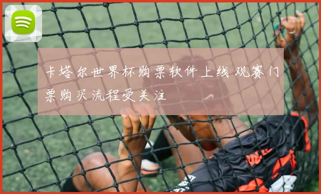 卡塔尔世界杯购票软件上线 观赛门票购买流程受关注