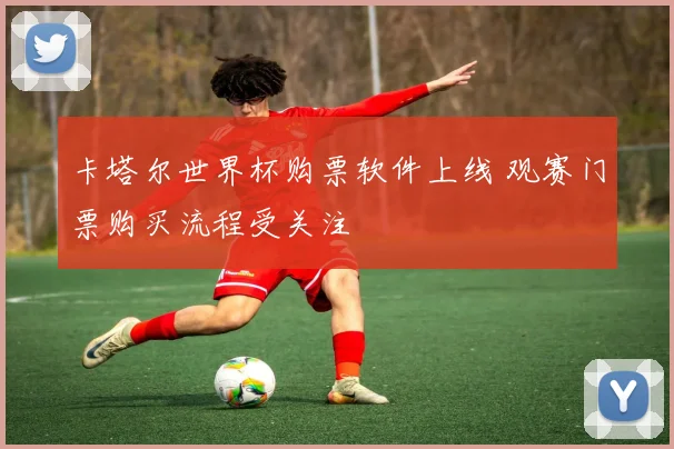卡塔尔世界杯购票软件上线 观赛门票购买流程受关注